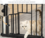 Barrière de sécurité animaux réglable 2 portes acier