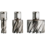 Fraises HSS Nova 25 de diamètre 34mm Weldon - FEIN - 63134340051