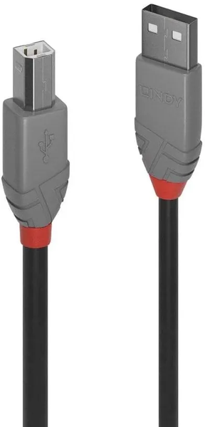 Cable Lindy USB 2.0 type A - B M/M 50cm (Gris)