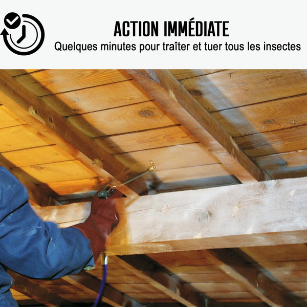Traitement bois extérieur, intérieur - ARCAPROTECT BOIS | Maison Etanche