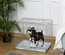Cage pour chien pliable plateau amovible 2 portes verrouillables