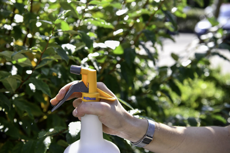 Pulvérisateur à gâchette SPRAYMIST 1L - HOZELOCK - 4121P0000