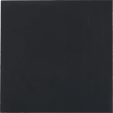 Lot de 2 Pads Thermiques Thermal Grizzly Minus Pad Advance 100x100x0,5mm (Noir)