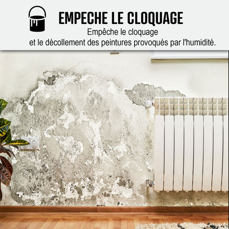 Peinture anti humidité | ARCASCREEN | Maison Etanche