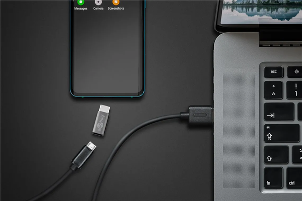 Adaptateur USB 2.0 Type C Goobay vers Micro USB OTG (Gris)