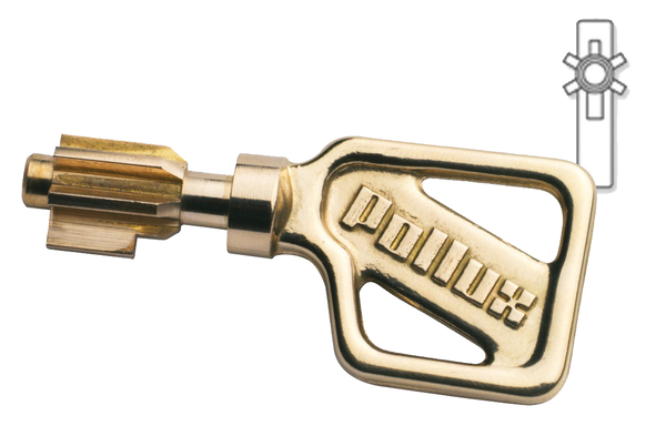 Verrou à double entrée GHB 5 ailettes longueur 95 mm cylindre de 40 mm - POLLUX - 120514