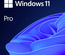 Microsoft Windows 11 Pro - 64bits (OEM) (DVD)