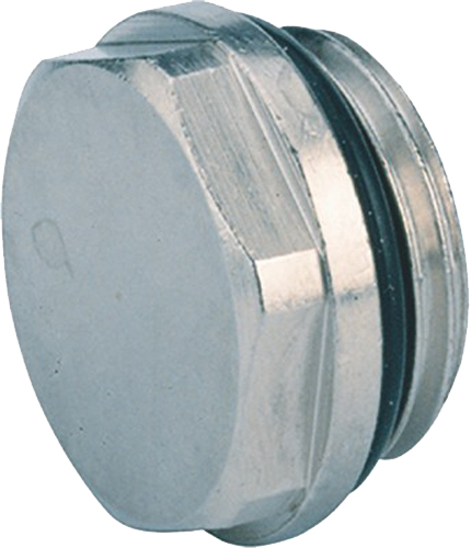 Bouchon laiton chrome M 1/2'' - WATTS - 22L0258115