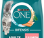 PURINA ONE Bifensis Croquettes au Saumon pour Chats Adultes | Sac de 9,75kg