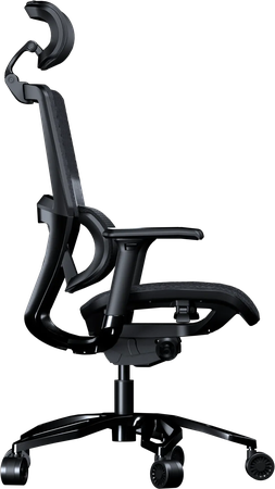 Fauteuil ergonomique Cougar Argo (Noir)