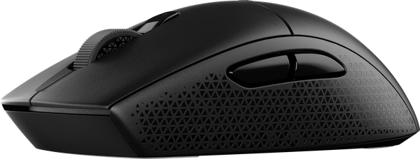 Souris sans fil Gamer Corsair M55 (Noir)