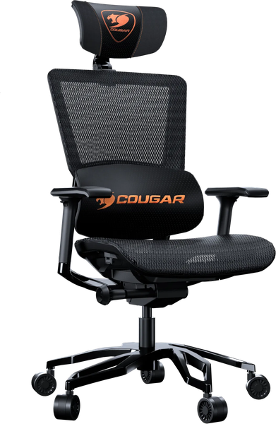 Fauteuil ergonomique Cougar Argo (Noir)