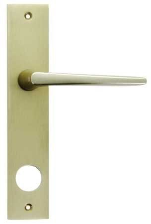 Poignée palière pour Sans souci 690 gauche - FICHET - 73815104