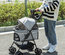 Poussette buggy pliable chien chat panier rangement 4 roues