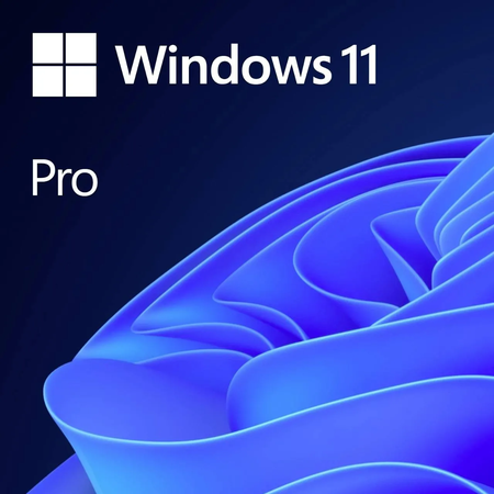 Microsoft Windows 11 Pro - 64bits (OEM) (DVD)