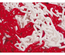 Chaîne en plastique 5m rouge et blanche N°8 LS sachet - TALIAPLAST - 530122