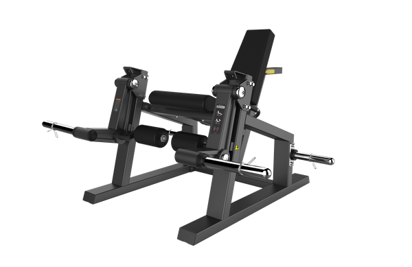 Leg Extension
