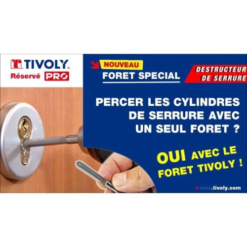 Destructeur de cylindre en acier carbure 6mm - TIVOLY - 82400110001