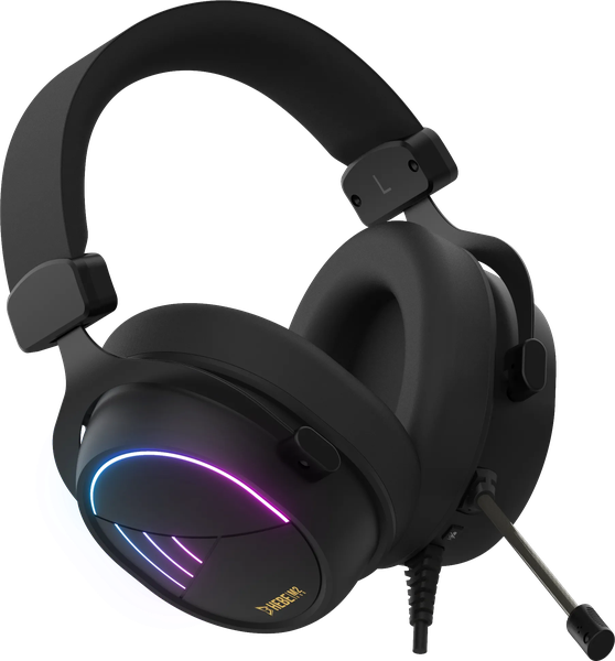 Casque Gamer filaire Gamdias Hebe M2 RGB (Noir)