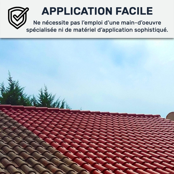 Peinture étanche toiture tuiles Arcafilm | Maison Étanche