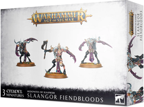 Warhammer AoS - Hedonites of Slaanesh Slaangor Fiendbloods