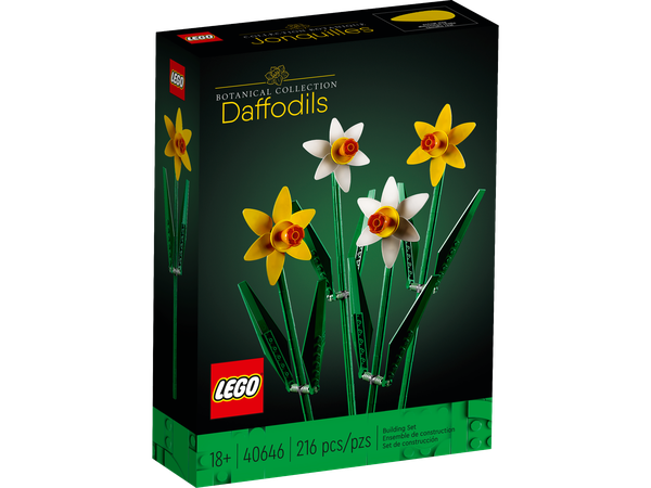 Les jonquilles (40646)
