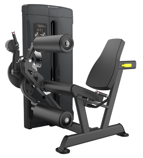 Leg Extension / Leg Curl