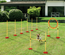 Agility sport pour chiens équipement complet haies, slalom + sac de transport jaune