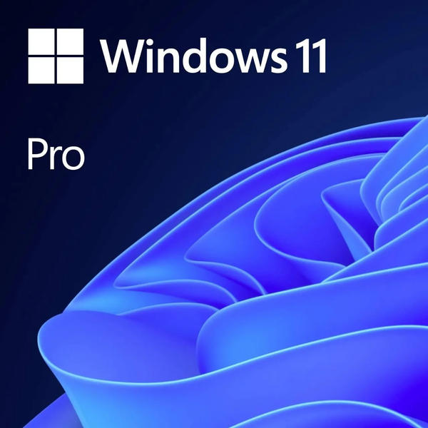Microsoft Windows 11 Pro - 64bits (OEM) (DVD)