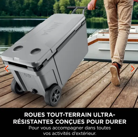 Ninja FrostVault 61 L Glacière roulante avec zone sèche, Gris Ardoise FB265EUUKGY