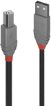 Cable Lindy USB 2.0 type A - B M/M 50cm (Gris)