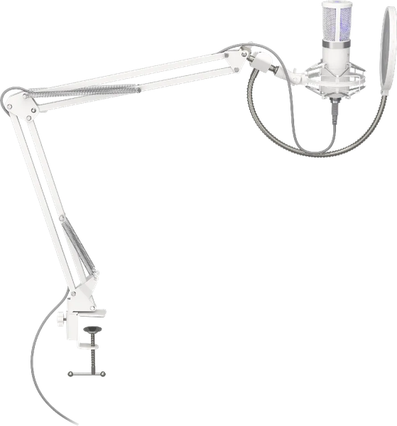 Microphone Endorfy Solum Streaming Onyx avec bras de montage (Blanc)