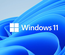 Microsoft Windows 11 Pro - 64bits (OEM) (DVD)